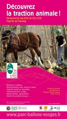 Affiche-2013 ori redimensionner