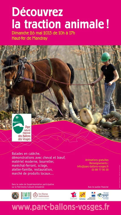 Affiche-2013 ori redimensionner