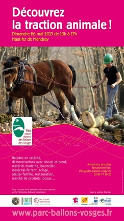 Affiche-2013 ori redimensionner