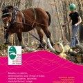 Affiche-2013 ori redimensionner