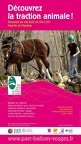 Affiche-2013 ori redimensionner